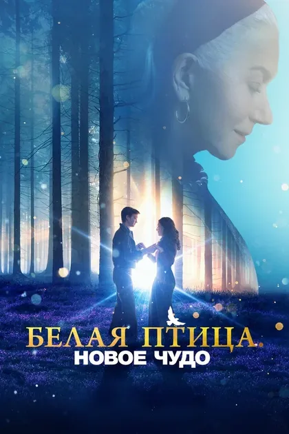 Брайс Гейзар