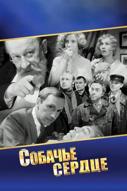 Наталья Лапина